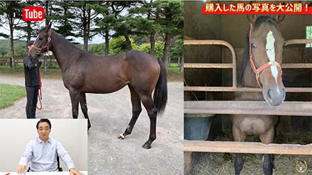 ジャングルポケット 斉藤慎二 お笑いトリオ 馬 競馬 重大発表 馬主 契約 競走馬 YouTube 動画 血統