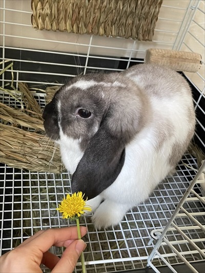 ストーブを堪能するインコさん