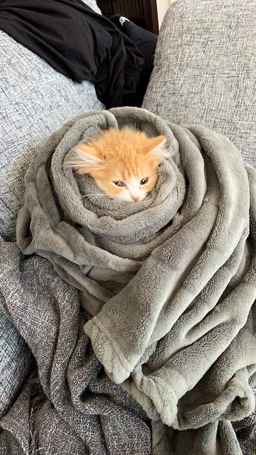 ぐるぐるぐらちゃん