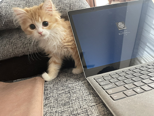 左からひょっこりぐらちゃん