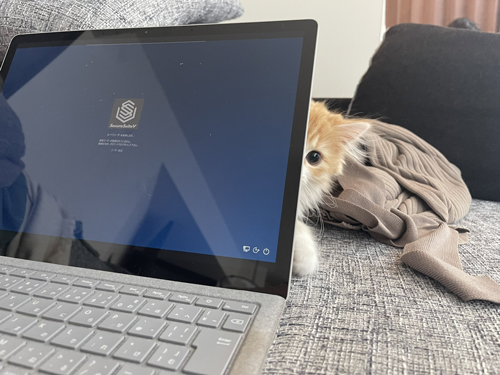 右からひょっこりぐらちゃん