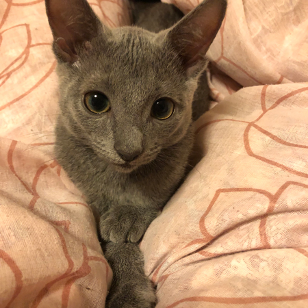 起こしにきたハナちゃん