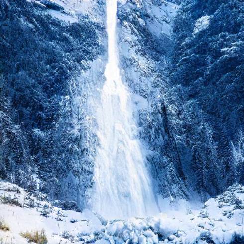 草木も凍る雪山に！