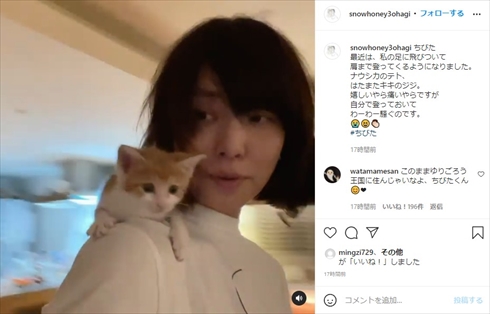 石田ゆり子 保護 ミルクボランティア 子猫 ちびた インスタ 犬 猫