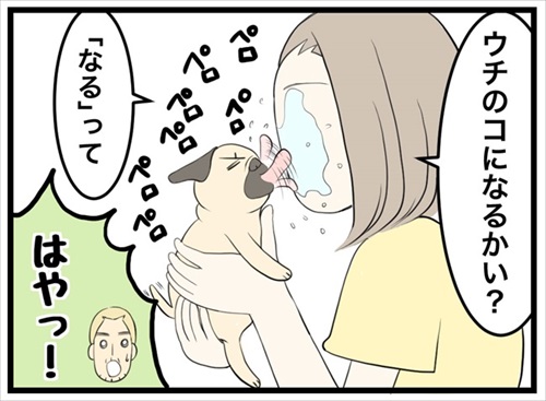 人より先にお風呂に入るパグ