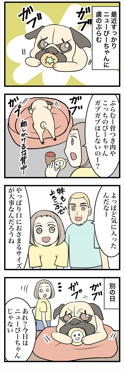 人より先にお風呂に入るパグ