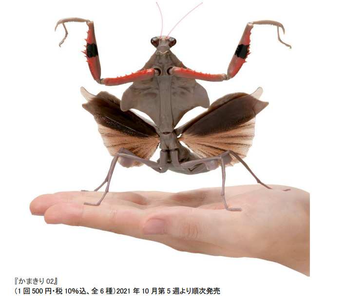 バンダイの「いきもの大図鑑シリーズ」に超リアルなかまきりが追加　落ち葉そっくりな「カレハカマキリ」など全6種