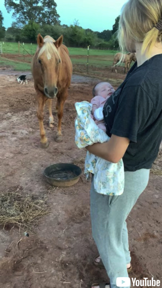 赤ちゃんの頭にキスする馬