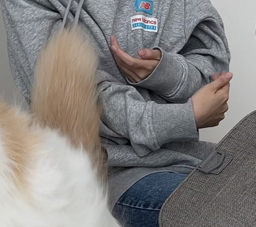 飼い主さんの手