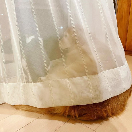 小麦ちゃんと豆ちゃん