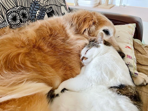 小麦ちゃんと豆ちゃん