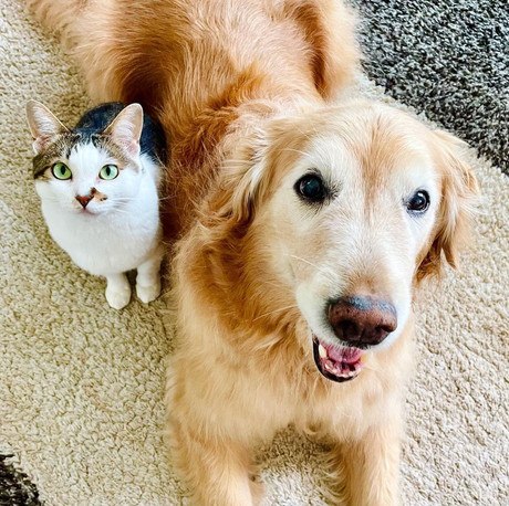 小麦ちゃんと豆ちゃん