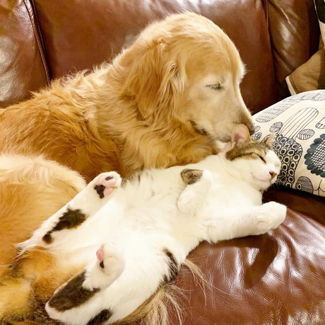 小麦ちゃんと豆ちゃん