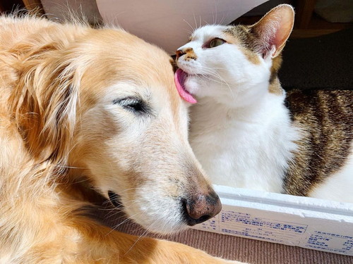 小麦ちゃんと豆ちゃん