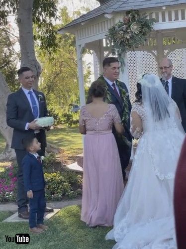 「Son Taken Back by the Brides Beauty || ViralHog」