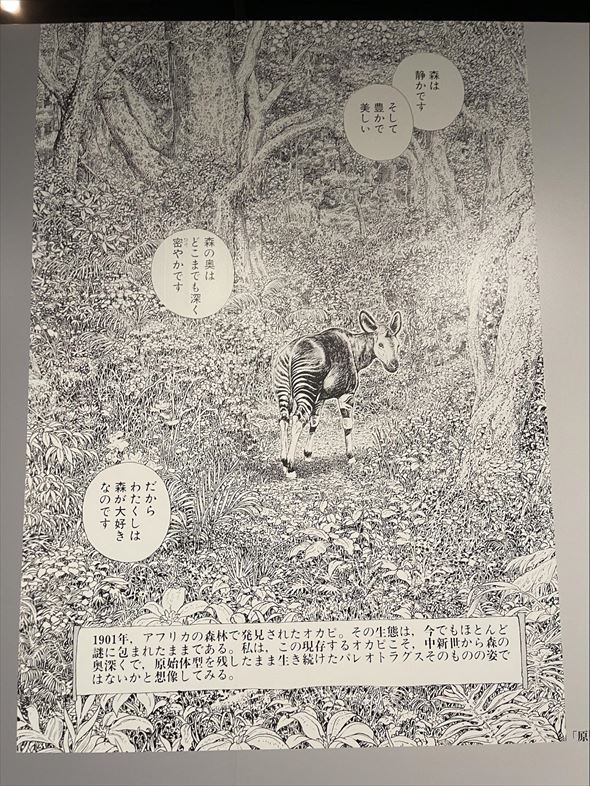 谷口ジロー展 マシーナリーとも子