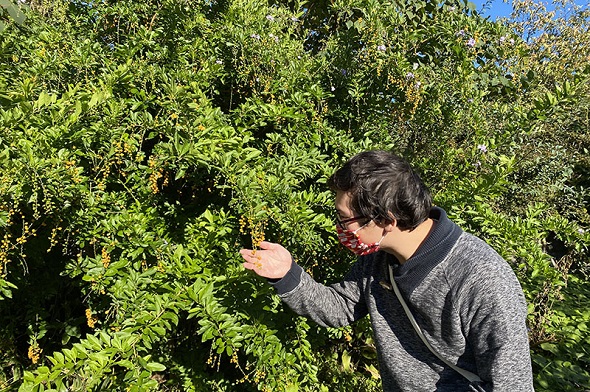 リアルマジック