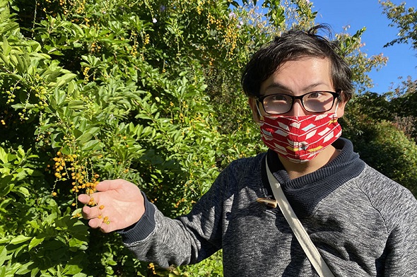 リアルマジック