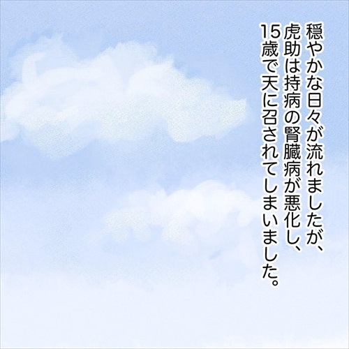 猫の悲しみの感情