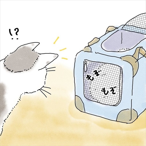 猫の悲しみの感情