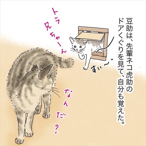 猫の悲しみの感情