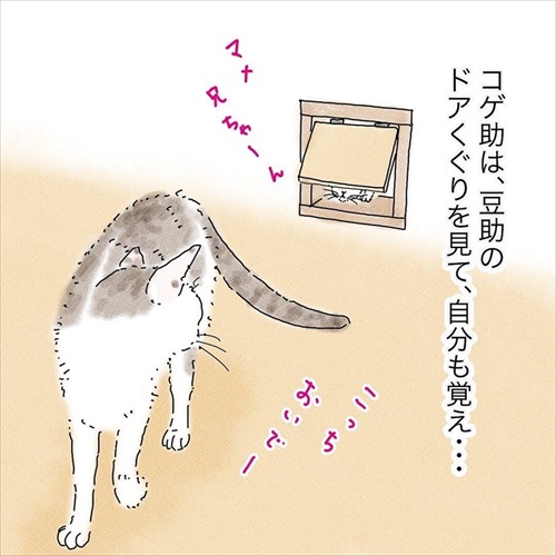 猫の悲しみの感情