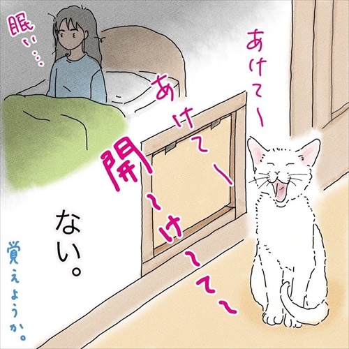 猫の悲しみの感情