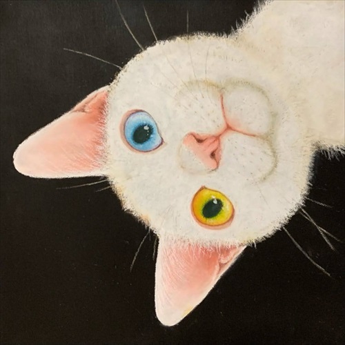 猫の悲しみの感情