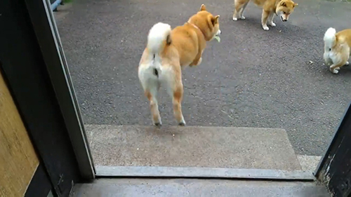 ウキウキ長女ちゃん