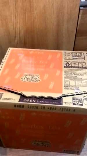 全自動 ぺろぺろ機 猫 ダンボール 飛び出す