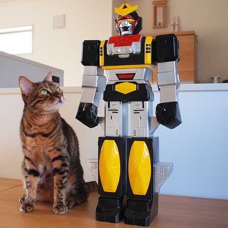 全自動 ぺろぺろ機 猫 ダンボール 飛び出す