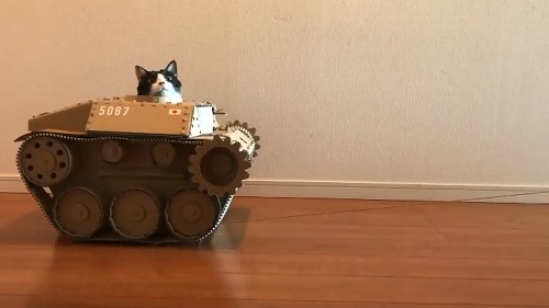猫戦車
