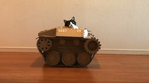 猫戦車