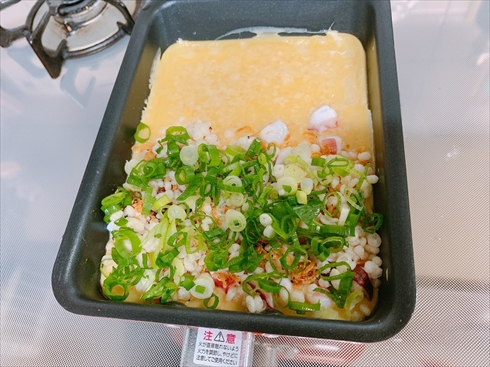 ねとめし カクたこ