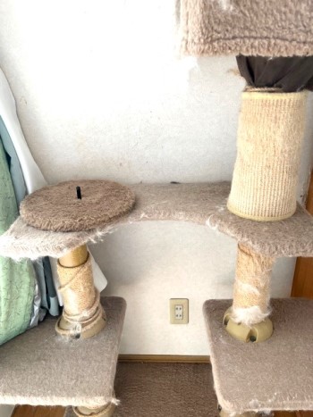 キャットタワー