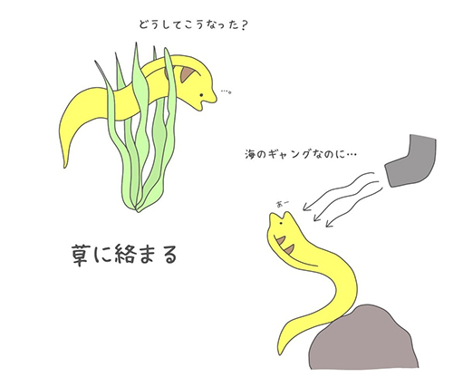 ウツボ
