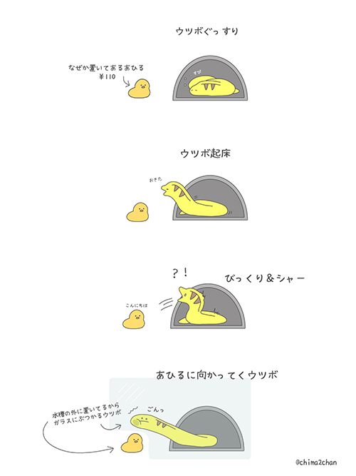 あひるさんとウツボさん