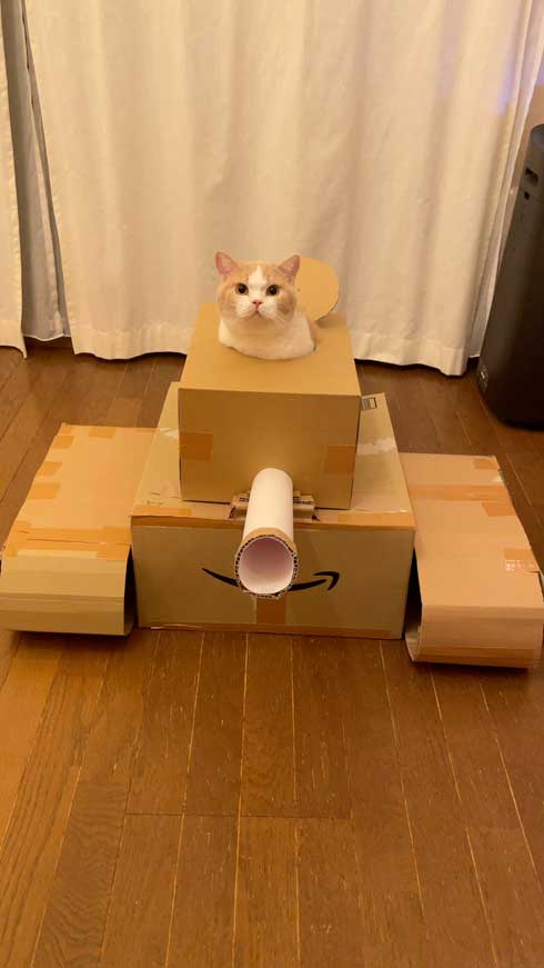 にゃんこ大戦争 猫 戦車 ダンボール みかんとじろうさんち