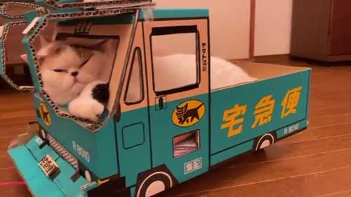 にゃんこ大戦争 猫 戦車 ダンボール みかんとじろうさんち
