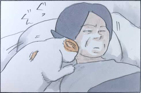 猫 力技 ベッド 枕 占拠 添い寝 あるある 漫画 にごたろ