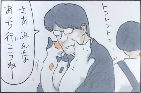 猫 あるある 漫画 にごたろ 拾い猫のモチャ
