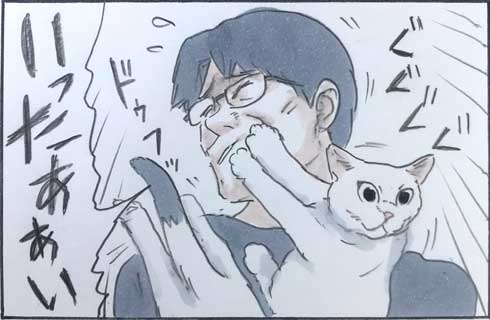 猫 あるある 漫画 にごたろ 拾い猫のモチャ