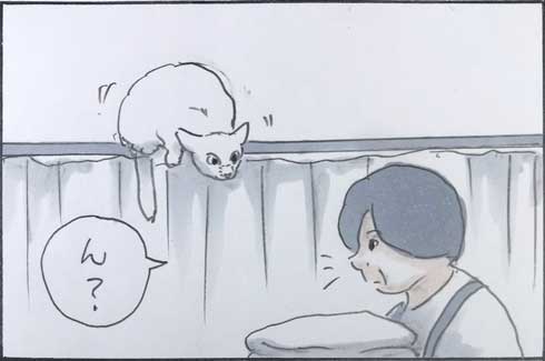 猫 あるある 漫画 にごたろ 拾い猫のモチャ