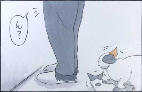 猫 あるある 漫画 にごたろ 拾い猫のモチャ