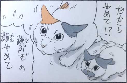 猫 あるある 漫画 にごたろ 拾い猫のモチャ