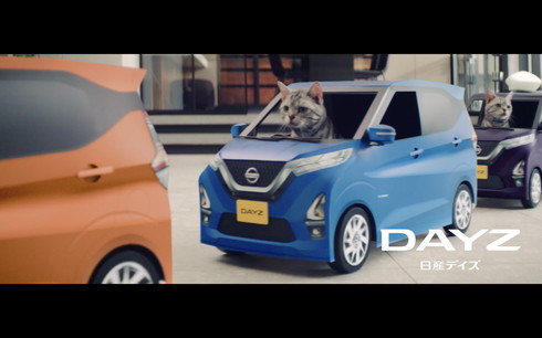 にゃっさんデイズ