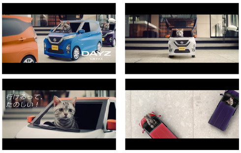 にゃっさんデイズ