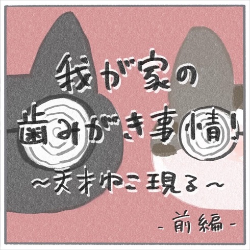 猫たちに歯みがきをしてみたら