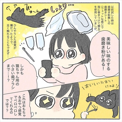 猫たちに歯みがきをしてみたら
