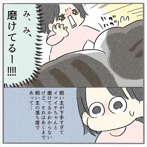 猫たちに歯みがきをしてみたら